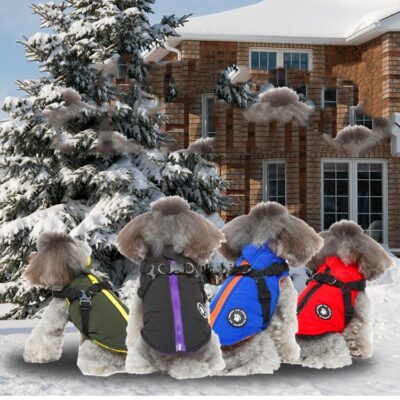 Pet Chest Strap Jacket Cotton-padded Coat